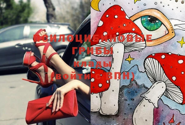 СК Вяземский