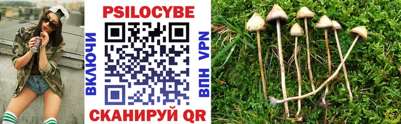 магазин продажи наркотиков  Калачинск  Псилоцибиновые грибы Psilocybe 